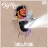 Download track Soul Free