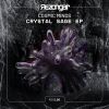 Download track Crystal Sage