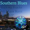 Download track Southern Blues Guitar Backing Track In Db Major, 120 BPM, Vol. 1