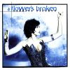 Download track Flowers Broken