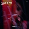 Download track Focus Is You