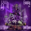 Download track Dat Kush