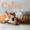 Download track Pet Song