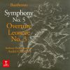 Download track Beethoven- Symphony No. 5 In C Minor, Op. 67- IV. Allegro - Presto