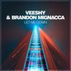 Download track Let Me Down (Vocal Mix)