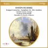 Download track Concerto For Trumpet And Orchestra In E-Flat Major, Hob. VIIe / 1: III. Finale. Allegro