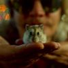 Download track An Existential Eve With My Pet Hamster (Radio Edit)