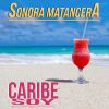Download track Ay, Qué Rico Amor (La Sonora Matancera)