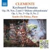 Download track Piano Sonata In E-Flat Major, Op. 8 No. 2: III. Rondo. Allegro