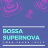 Download track Bossa Nova Theme