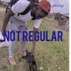 Download track NOT REGULAR