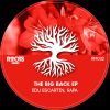 Download track The Big Back (Original Mix)