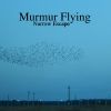 Download track Murmur