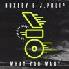 Download track What You Want (Vin Sol Remix)