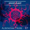 Download track Albinos In Flesh (Original Mix)