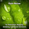 Download track Rain Sounds For Serenity