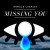 Download track Missing You