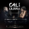 Download track É Possível (Liliana)