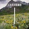 Download track 有过多少不眠的夜晚