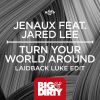 Download track Turn Your World Around (Laidback Luke Edit)