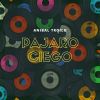 Download track Pajaro Ciego