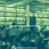 Download track Sophisticated Ambience For Restaurants