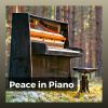 Download track Sagamore Piano