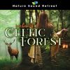 Download track Cozy Celtic Spring ASMR Soundsc