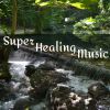 Download track Meditation Harmony