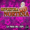 Download track Soy Ranchero De La Sierra