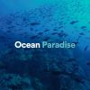 Download track Discovery Ocean