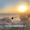 Download track Never Give Up (Slowsphere Remix)