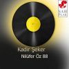 Download track Nilüferin Dansı