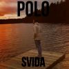 Download track Svida