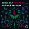 Download track Partie Polonoise In B-Flat Major, TWV 39: 1 (Arr. J. Steenbrink & T. Steenbrink For Strings & Continuo): VIII. Gigue