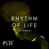 Download track Rhythm Of Life (Andreas Foxx Remix)