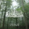 Download track Springar [Instrumental] (Acoustic Version)