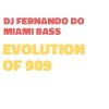 Download track Evolution Of 909