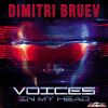 Download track Voices In My Head (Original Mix)