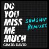 Download track Do You Miss Me Much (Sunship Remix)