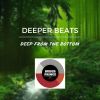 Download track Deep From The Bottom