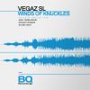 Download track Winds Of Knuckles (Stage Van H Twister Mix)