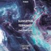 Download track Terminate (Original Mix)