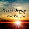 Download track All We Need Is Love (Sound Breeze EDM Remix)