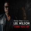 Download track Turn You Up (Kenny Dope And Todd Terry Remix)