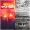 Download track שלל שרב