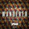 Download track Wanderer