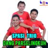 Download track DANG PARSELINGKUH