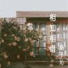 Download track 陪我看流星