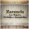 Download track Agua, Azucarillos Y Aguardiente 